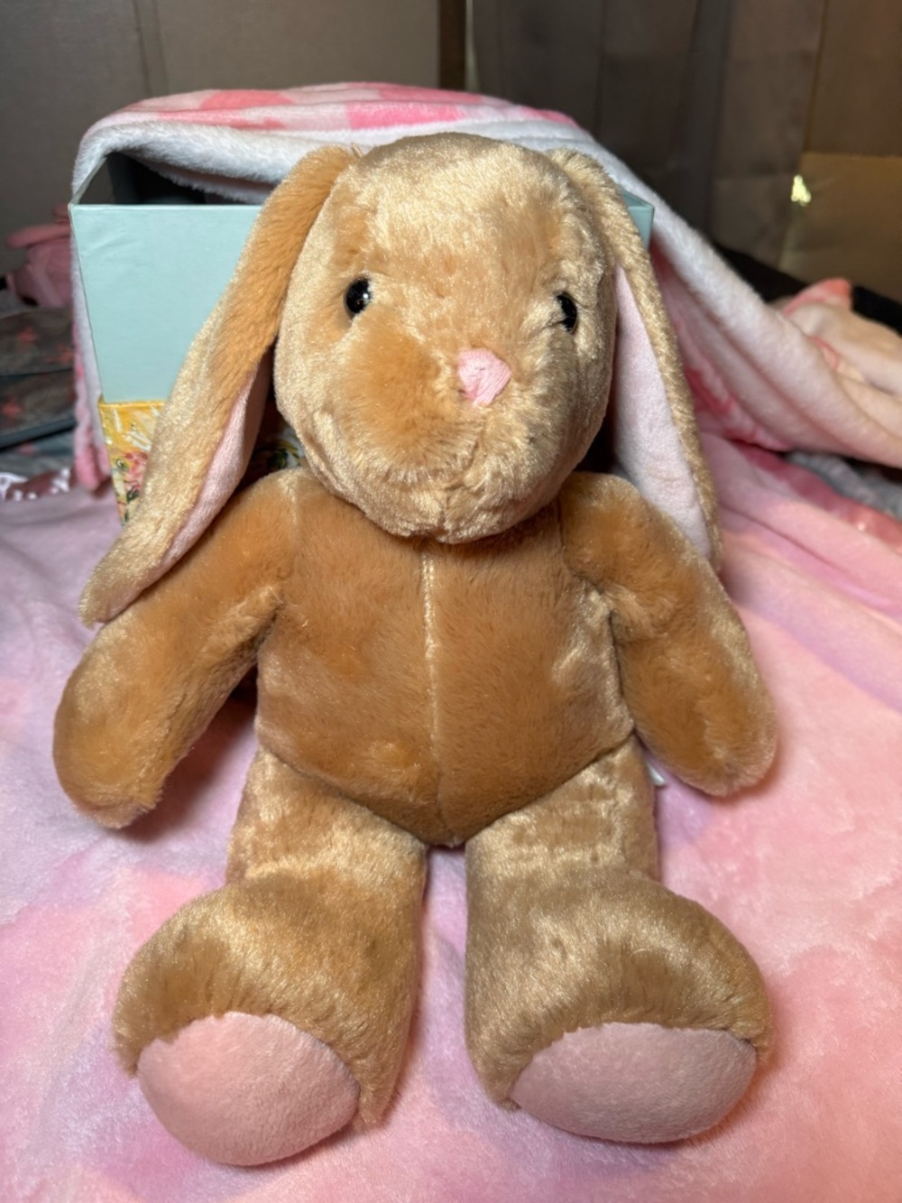Easter Bunny Build A Bear